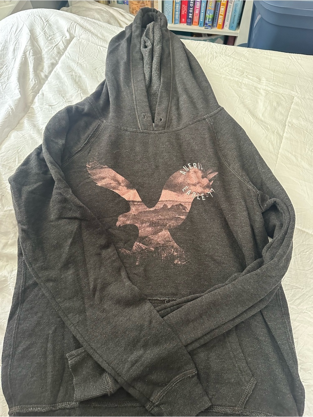 American Eagle Outfitters Charcoal Hoodie with Pink Graphic Eagle